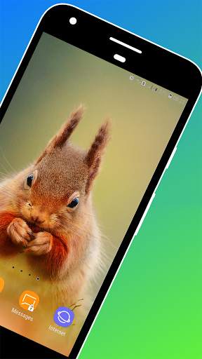 Squirrel Wallpaper screenshot 2