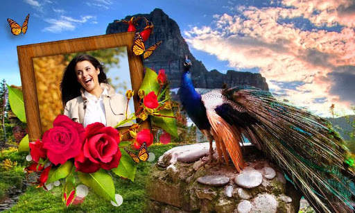 Peacock Photo Frames HD screenshot 4