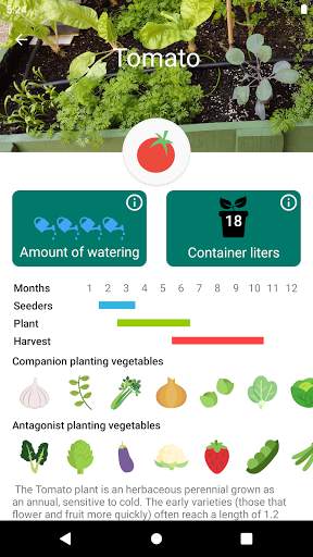 Urban veggie garden screenshot 3