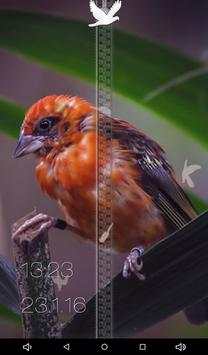 Birds Zipper Lock Screen screenshot 19