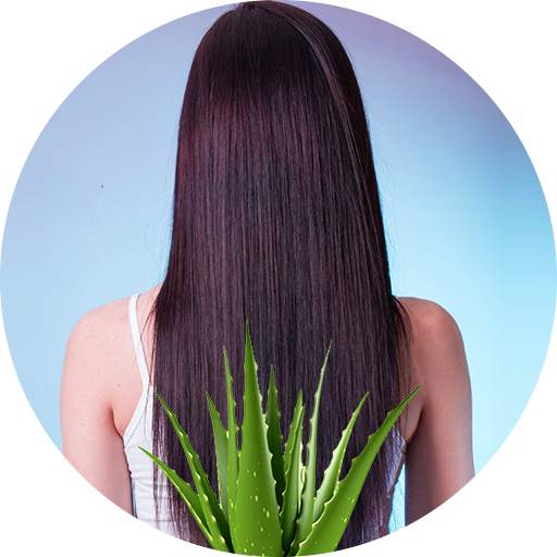 Hair Fall Control Tips Hindi 4.1.0