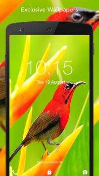 Live Bird Wallpaper screenshot 1
