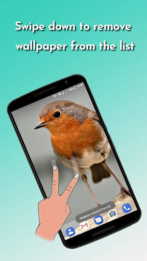 Auto Wallpaper screenshot 8