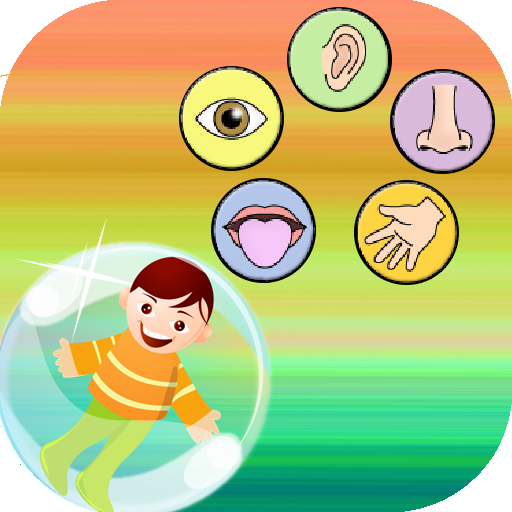 تعليم الحواس الخمسة icon