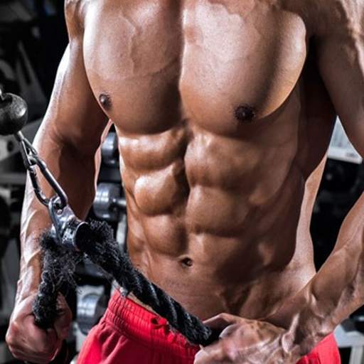 Fitness - Home Workout Trainer 1.3