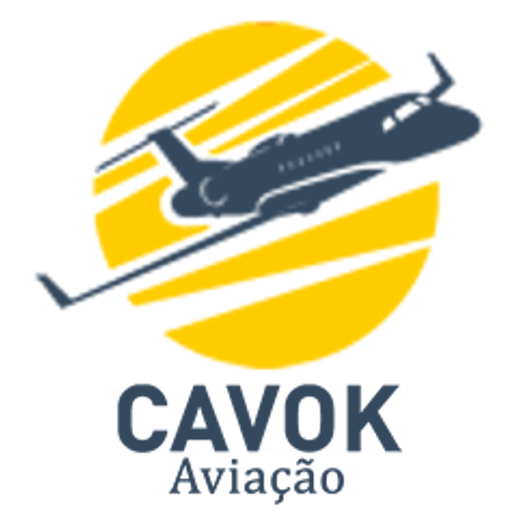 AIS CAVOK icon