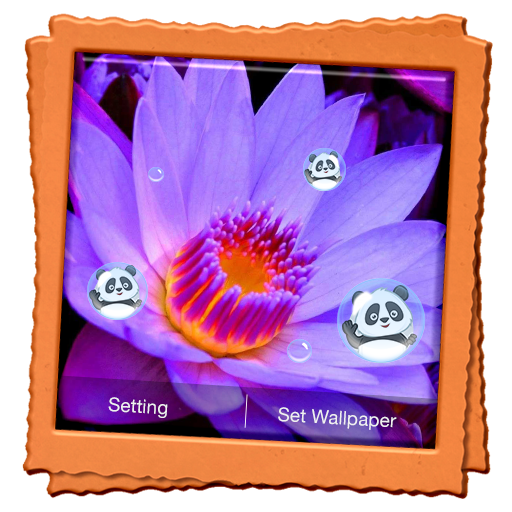 Lotus Live Wallpaper icon