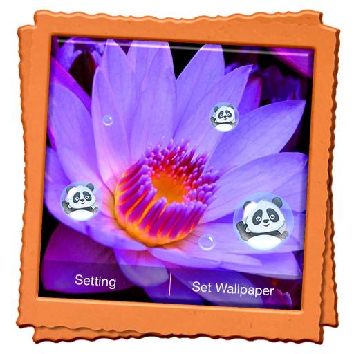 Lotus Live Wallpaper 6.1