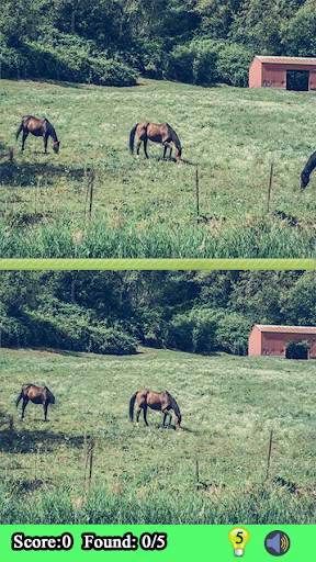Find The Difference Games screenshot 2