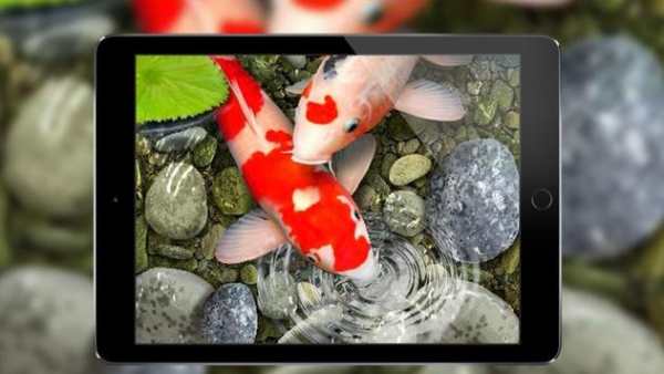 3D Koi Fish Wallpaper HD - 3D Fish Live Wallpapers screenshot 11