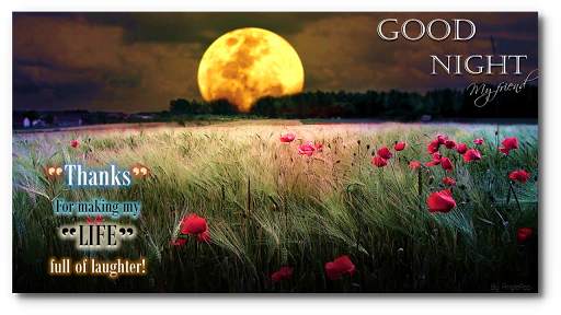 Good Morning Night flower wish screenshot 6