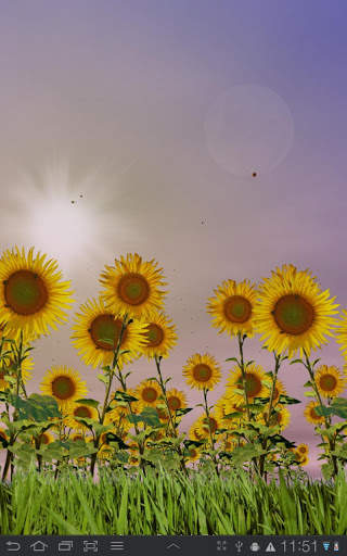Sunflowers Free Live Wallaper screenshot 8