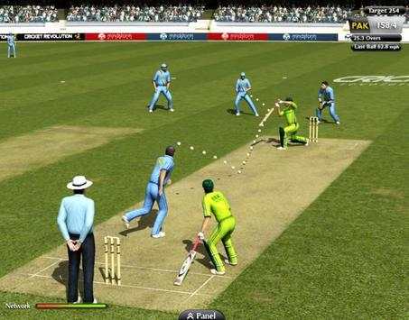 Hit & Bowl Cricket Games screenshot 1