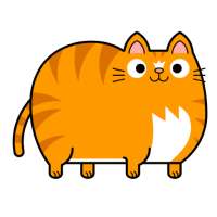 Fat Cat Paradise