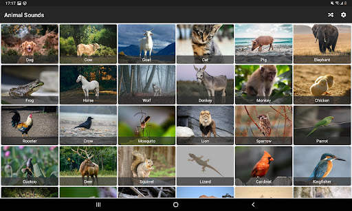 Animal Sounds - With Birds screenshot 1