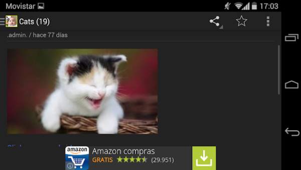 Funny Videos screenshot 5