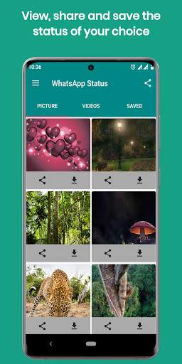 status saver app screenshot 1