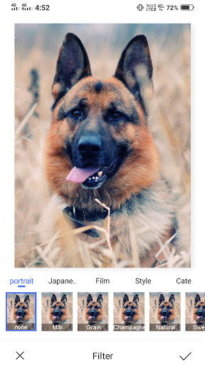 Gallery for Android : Photo Gallery, Photo Manager screenshot 4