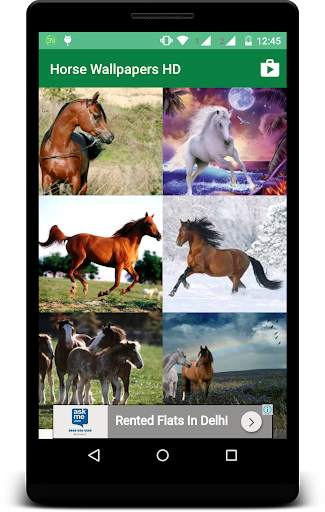 Horse Wallpapers HD screenshot 3