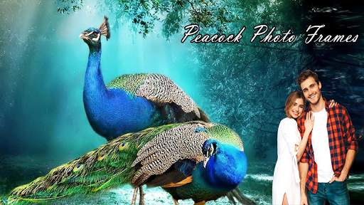 Peacock Photo Frames screenshot 3