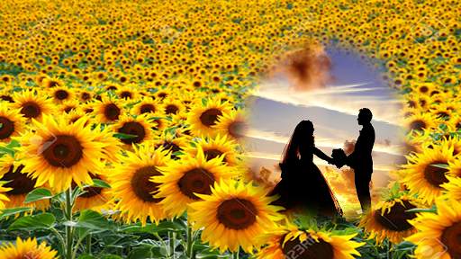 sunflower photo frames costume montage editor screenshot 2