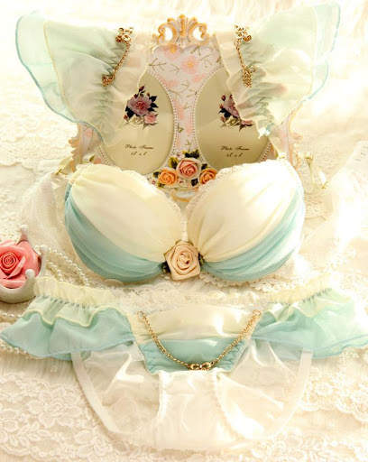 Bra And Panties Designs screenshot 4