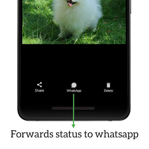 Status Downloader for WhatsApp (AD-Free) screenshot 7