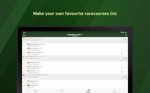 Horse Racing 24 screenshot 8