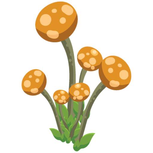 Grow! 1.01