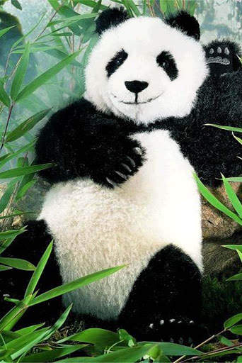 Panda Wallpaper - Cute Panda Wallpapers 🐼 screenshot 15