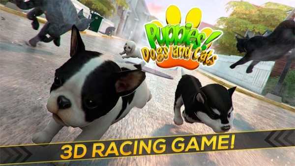Puppies! Dogs and Cats Game screenshot 7