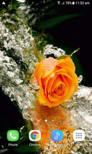 Lovely Yellow Rose LWP screenshot 2