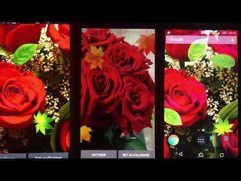 Beautiful Rose Free Live Wallpaper screenshot 1