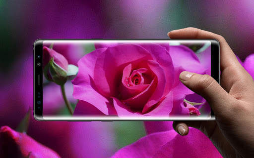 Beautiful Rose Free Live Wallpaper screenshot 11