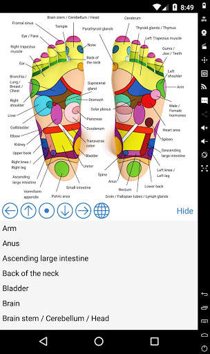 Foot Reflexology Chart screenshot 1