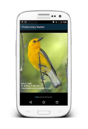 Biggest Week in Am. Birding screenshot 5