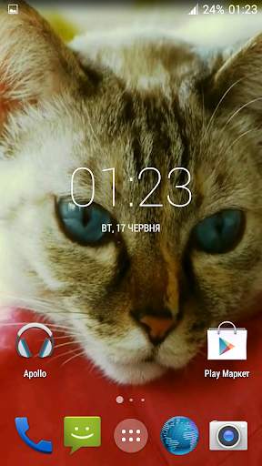Beautiful Cat Video Wallpaper screenshot 1