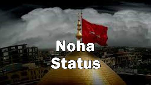 Noha Video Status 2021 screenshot 5