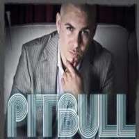 Pitbull Ringtones - Music Offline (40 Song) on 9Apps