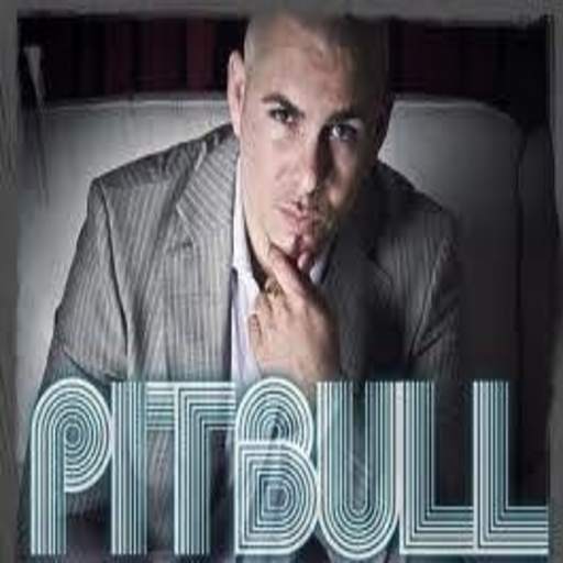 Pitbull Ringtones - Music Offline (40 Song) 1.0