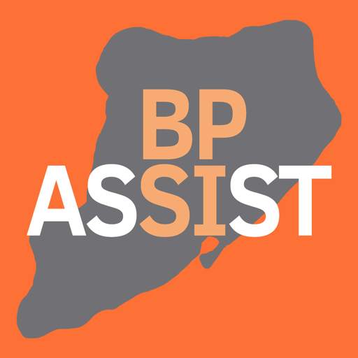 BP Assist 5.3.3.4599