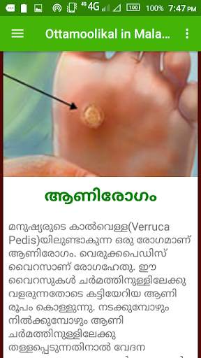 Ottamoolikal in Malayalam screenshot 5