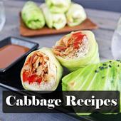 Cabbage Recipes icon