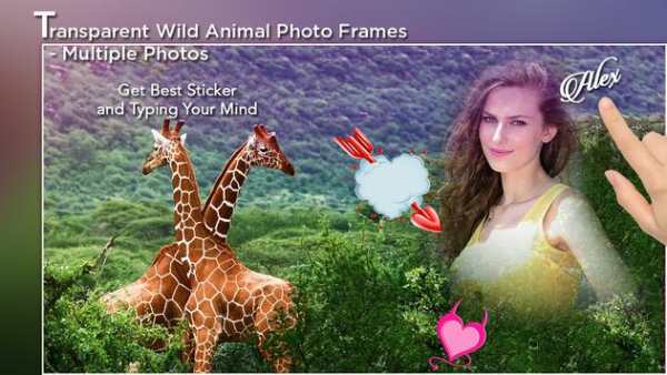 Transparent Wild Animal Photo Frame - Multi Photos screenshot 3
