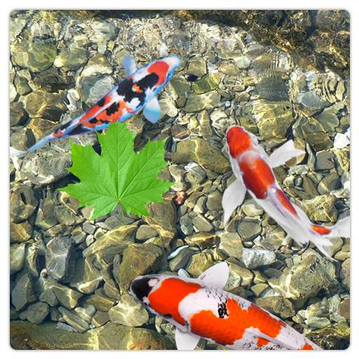 Aquarium Fish Live Wallpaper 1.1