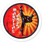 MMA Fighting 1.0