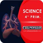 El-Moasser Respiratory System 3D