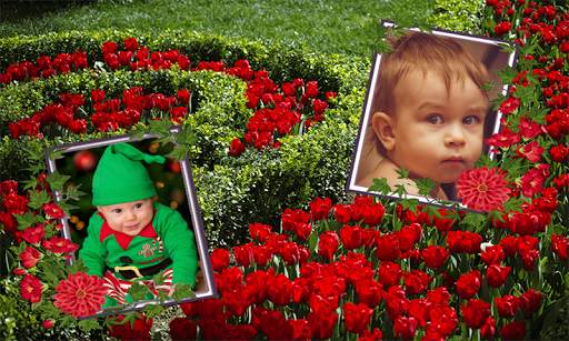 Awesome Double Photo Frame Garden Wale Application screenshot 5