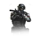 Commando Survival