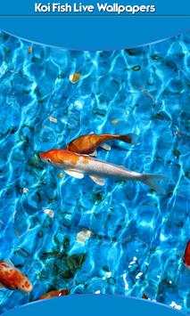 Koi Fish Live Wallpapers screenshot 1